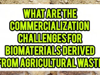 What Are The Commercialization Challenges For Biomaterials Derived From Agricultural Waste