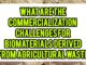 What Are The Commercialization Challenges For Biomaterials Derived From Agricultural Waste