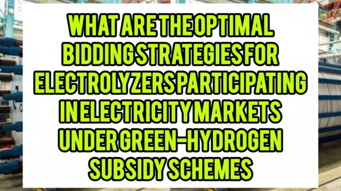 What Are The Optimal Bidding Strategies For Electrolyzers Participating In Electricity Markets Under Green-Hydrogen Subsidy Schemes