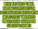 What Are The Optimal Bidding Strategies For Electrolyzers Participating In Electricity Markets Under Green-Hydrogen Subsidy Schemes