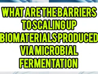 What Are The Barriers To Scaling Up Biomaterials Produced Via Microbial Fermentation