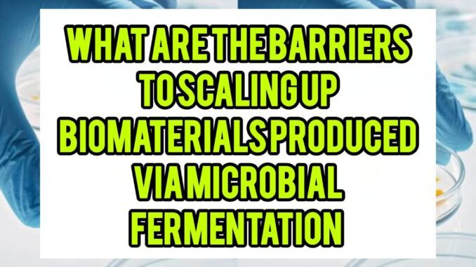 What Are The Barriers To Scaling Up Biomaterials Produced Via Microbial Fermentation What Are The Barriers To Scaling Up Biomaterials Produced Via Microbial Fermentation