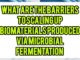 What Are The Barriers To Scaling Up Biomaterials Produced Via Microbial Fermentation