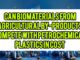 Can Biomaterials From Agricultural By-Products Compete With Petrochemical Plastics In Cost