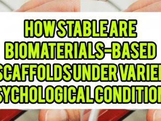 How Stable Are Biomaterial-Based Scaffolds Under Varied Physiological Conditions