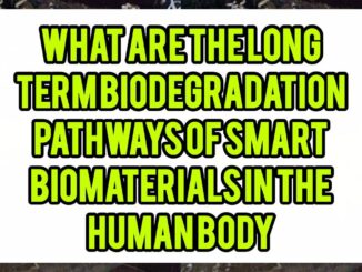 What Are The Long-Term Biodegradation Pathways Of Smart Biomaterials In The Human Body