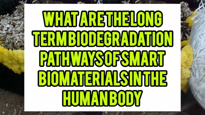 What Are The Long-Term Biodegradation Pathways Of Smart Biomaterials In The Human Body