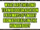 What Are The Long-Term Biodegradation Pathways Of Smart Biomaterials In The Human Body